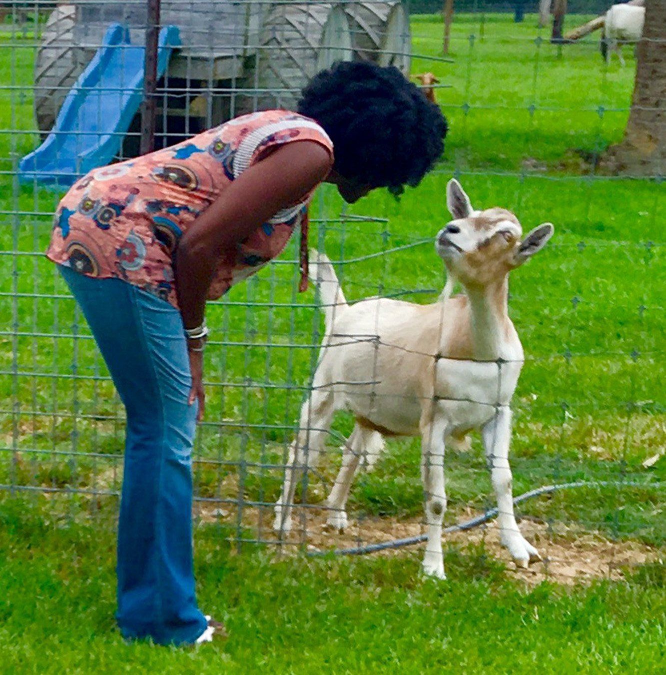 My new friend
